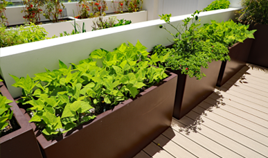 Enhancing Hospitality Venues with Low-Maintenance Planter Gardens